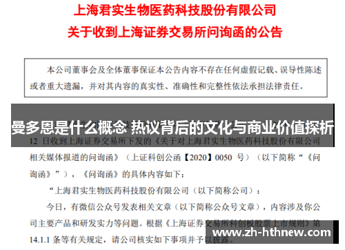 曼多恩是什么概念 热议背后的文化与商业价值探析